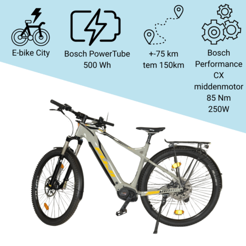 fuji ambient evo 29 eqp 19 wet grey (2022) 19 inch